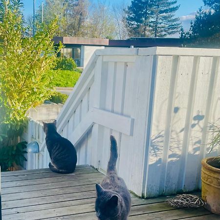 Cool Familyhome Close To The Beach W Two Cuddly Cats Espergærde Exteriör bild